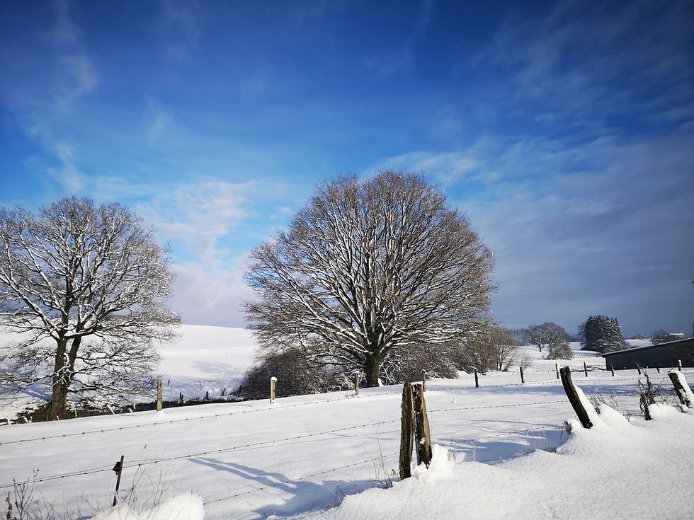 Waar ligt er sneeuw in België? - Waarom Zijn Sneeuw En Ijs Belangrijk Voor De Inuit