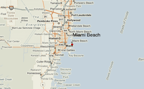 Waar Ligt Miami Op De Kaart - Vogels - Waar Ligt Miami Op De Kaart
