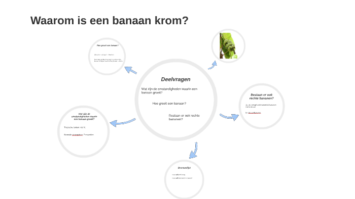 Waarom is een banaan krom? by Clara Wübbenhorst on Prezi Next - Banaan Te Krom Om Te Staan