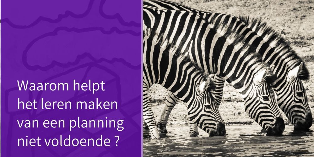 Waarom leren plannen vaak niet de beste oplossing is - Centrum Tea Adema - Waarom Leren Niet Vanzelf Gaat