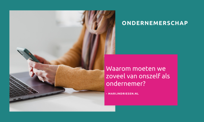 Waarom moeten we zoveel van onszelf als ondernemer? - Marijn Driesen - Onszelf Of Ons Zelf