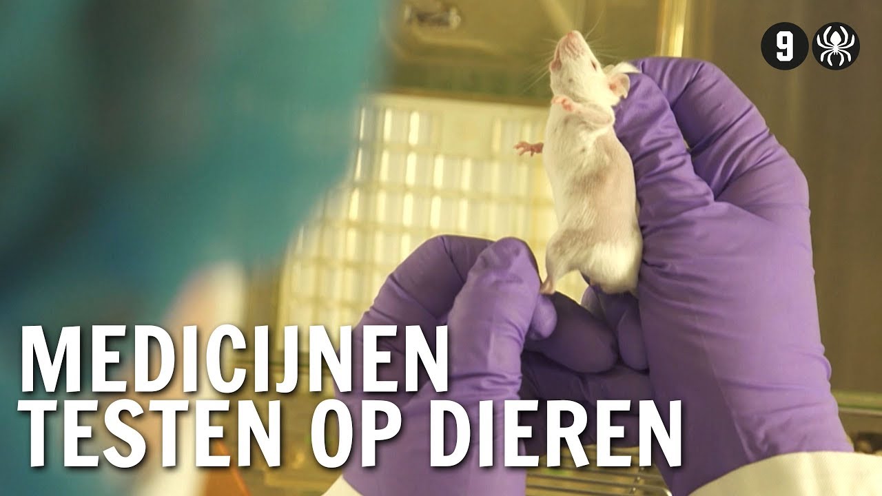 Waarom testen we medicijnen op dieren? | De Buitendienst over - Waar Kunnen Medicijnen In Het Bloed Worden Opgenomen
