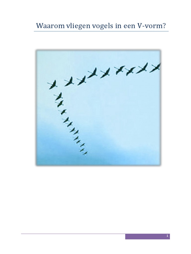 Waarom Vliegen Vogels In Een V