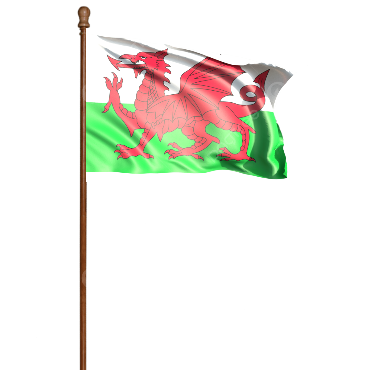 Wales Tour To Australia 2024 - Giulia Lianna - Wat Is De Welshe Naam Voor Wales
