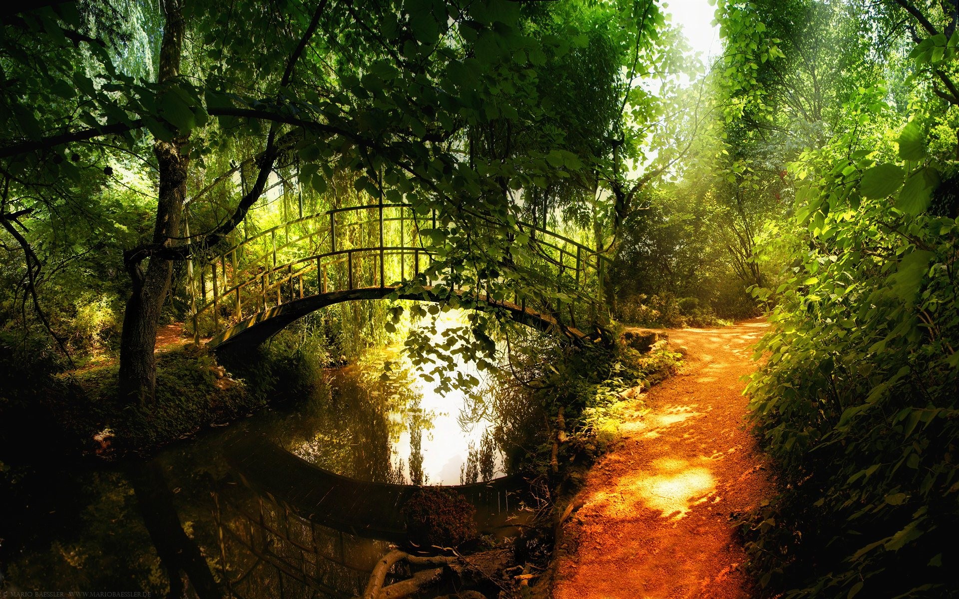 Wallpaper : sunlight, trees, landscape, forest, nature, reflection - Groen Licht In De Lucht