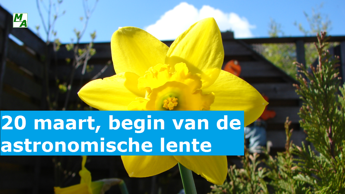 Wanneer Is De Carnavalsvakantie 2024