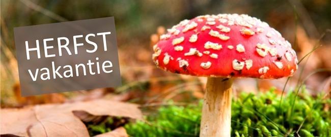 Wanneer is de herfstvakantie in 2024 - Vakantiegids 2024 - Wanneer Begint De Herfst Vakantie