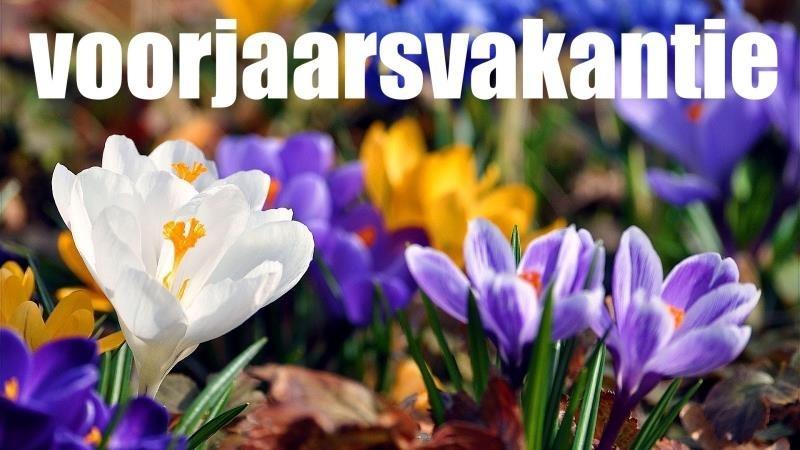 Wanneer is de voorjaarsvakantie in 2024 - Vakantiegids 2024 - Wanneer Is Het Krokusvakantie 2024