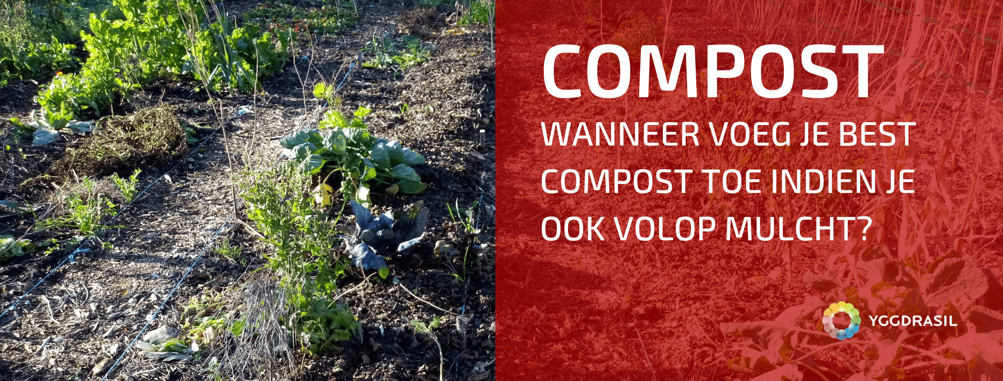 Wanneer Kan Je Best Compost Toevoegen Op Je Bedden? - Yggdrasil - Wanneer Gebruik Je Much En Many