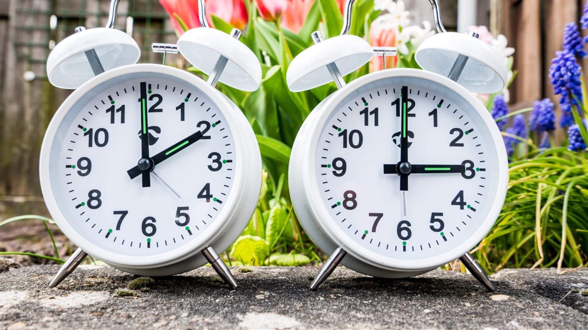 Wanneer Begint De Lente In 2024