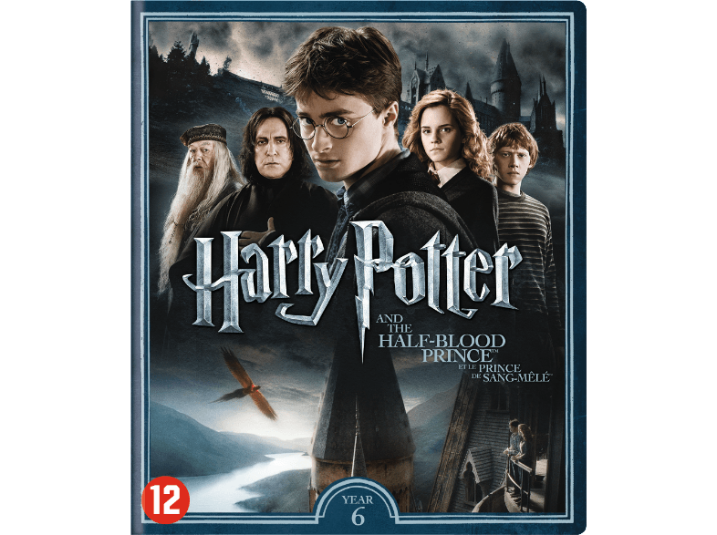 Warner Home Video Harry Potter 6: En de Halfbloed Prins DVD | FILM - Samenvatting Harry Potter En De Halfbloed Prins