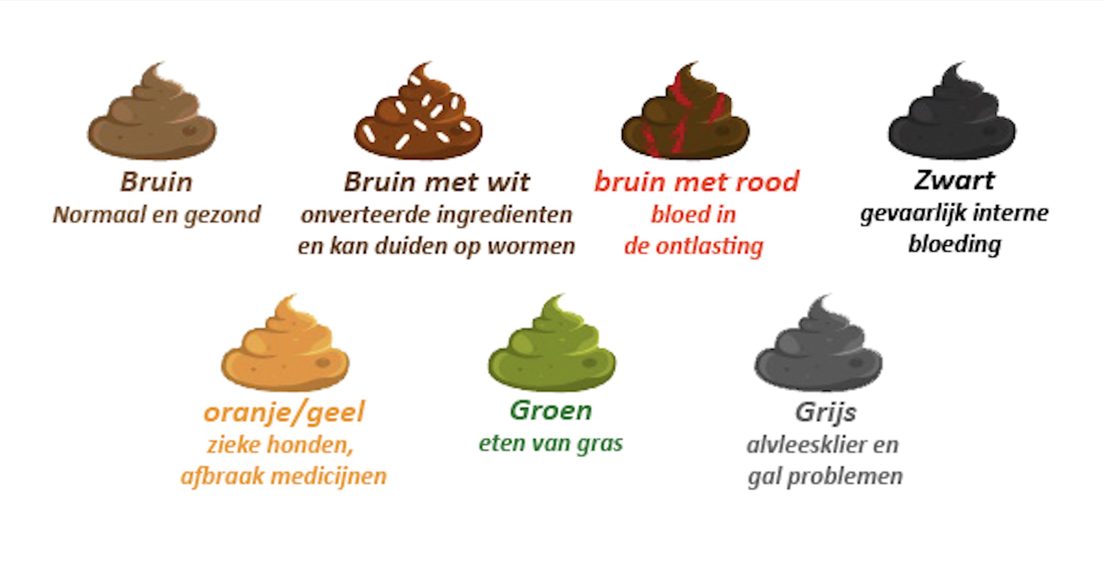 Wat Betekenen Kleuren - vrogue.co - Diarree En Bloed Bij Ontlasting