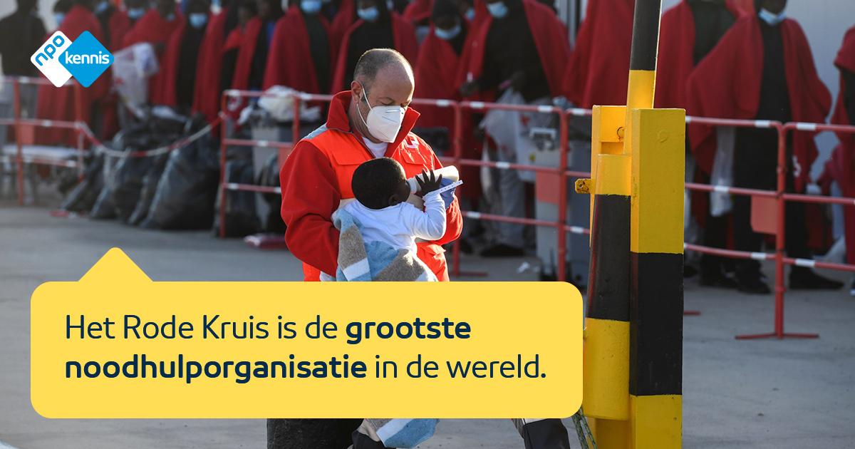 Wat Doet Het Rode Kruis