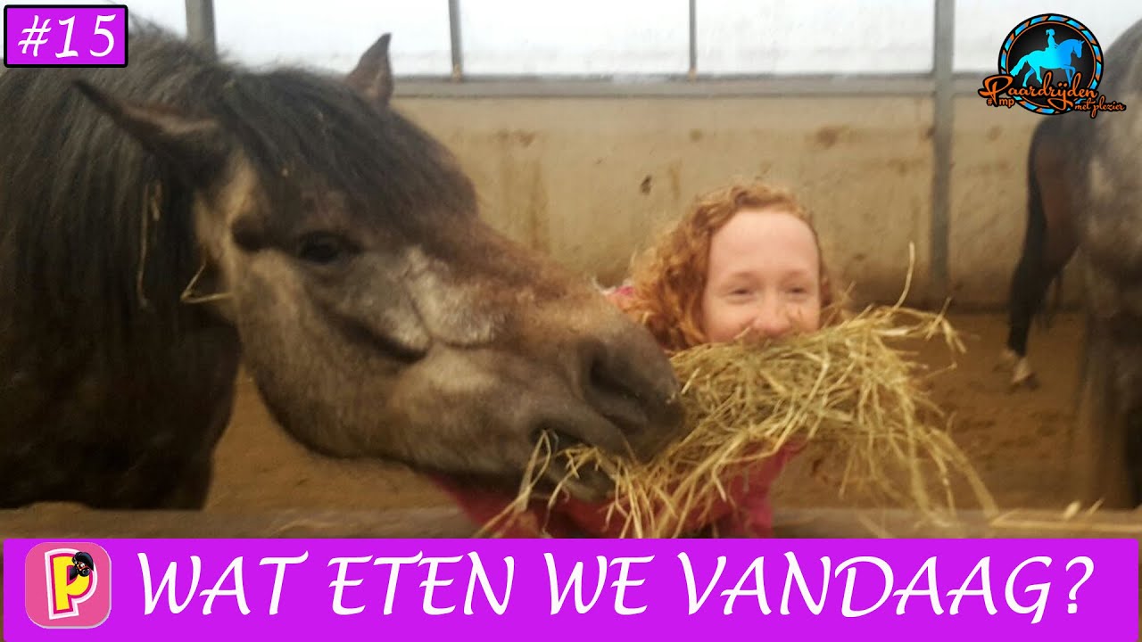 Wat eten paarden | Paard en paardrijden - YouTube - Wat Mogen Protestanten Niet Eten