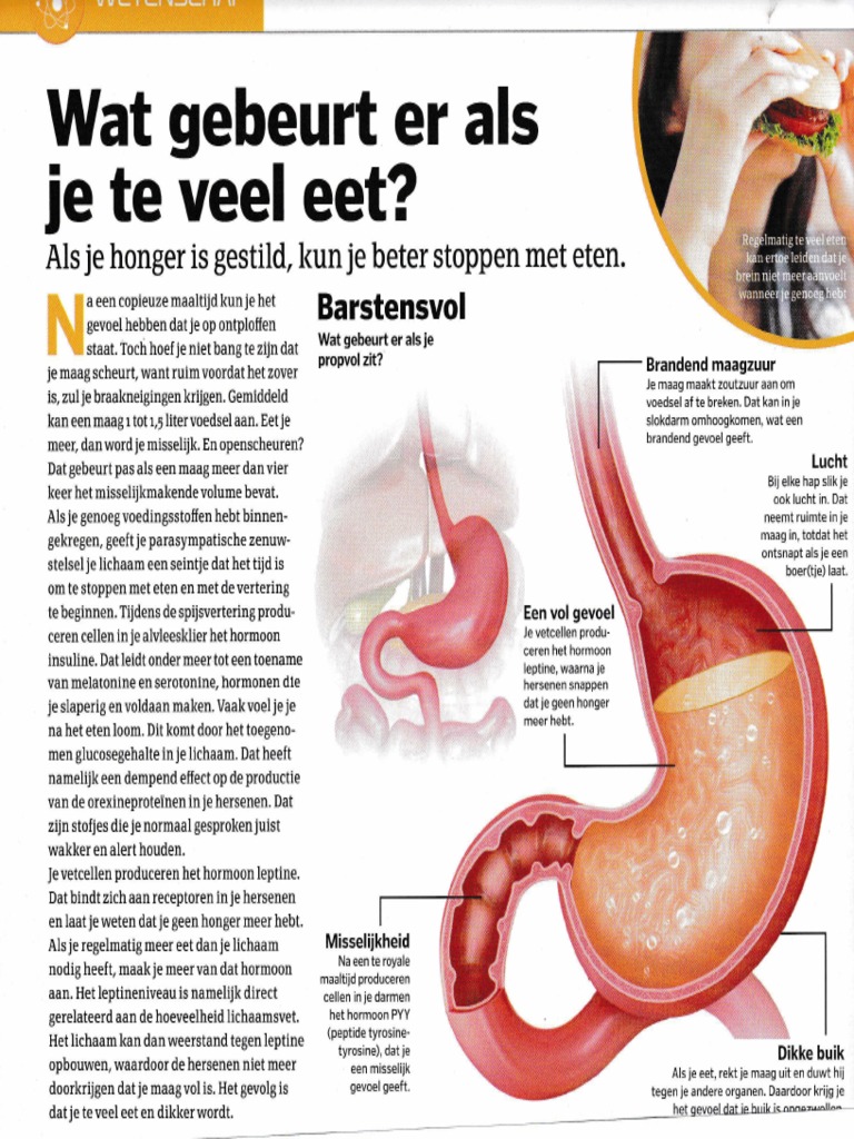 wat gebeurt er als je teveel eet - Wat Gebeurt Er Als Je Teveel Paracetamol Gebruikt