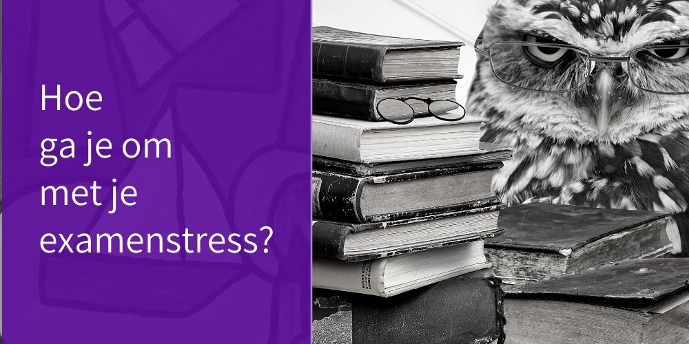 Wat gebeurt er bij examenstress en hoe los je het op - Centrum Tea Adema - Wat Te Doen Tegen Examenstress