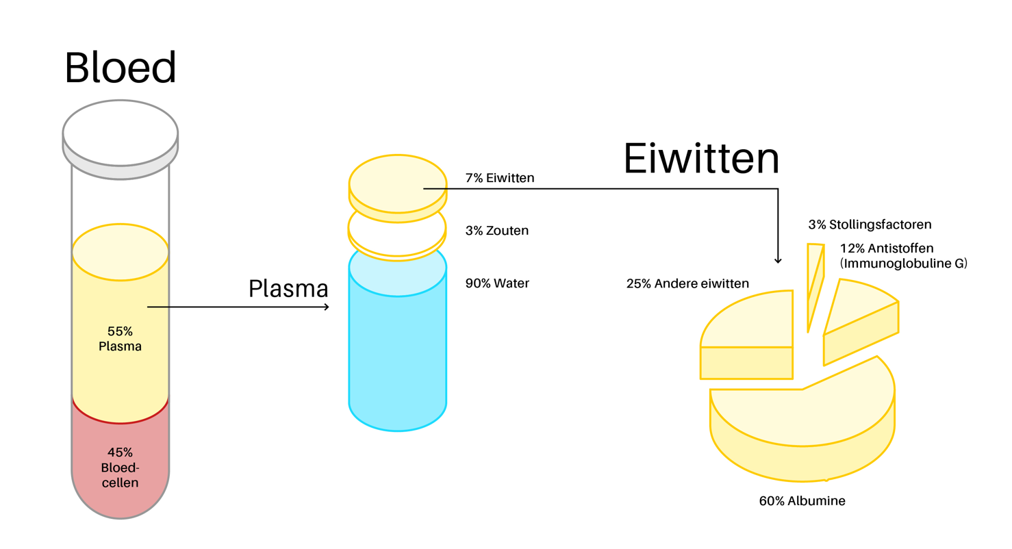 Wat is bloedplasma? | Sanquin - Uit Welke Drie Bestanddelen Bestaat Bloedplasma