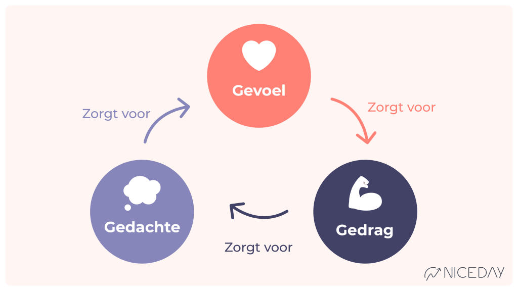 Gedrag In Organisaties 14e Editie