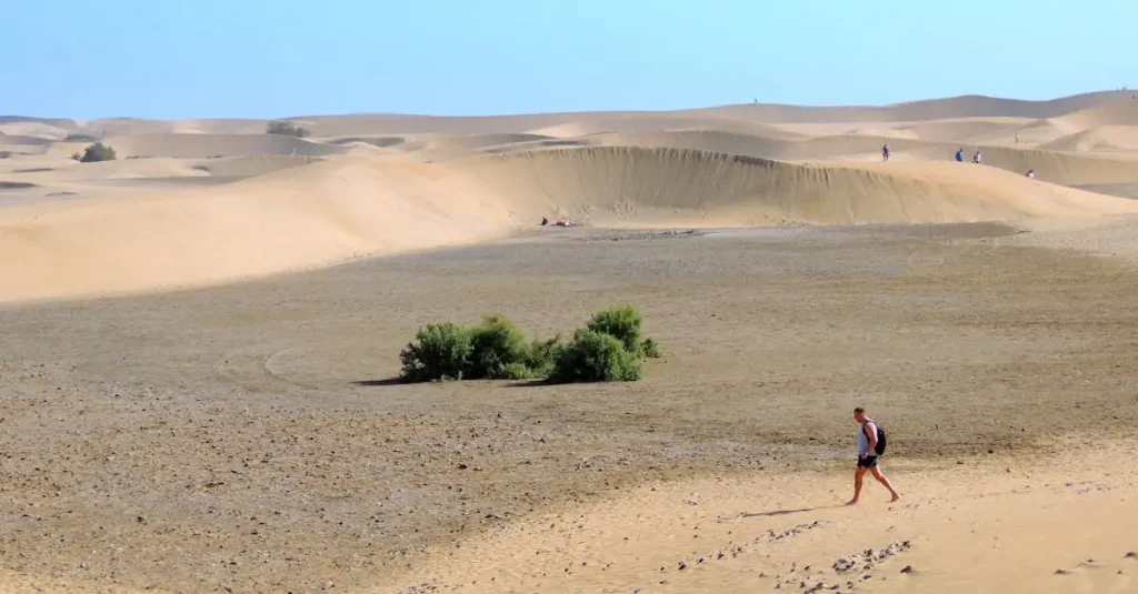 Wat is de grootste woestijn ter wereld: de Sahara? - Wat Is De Grootste Woestijn