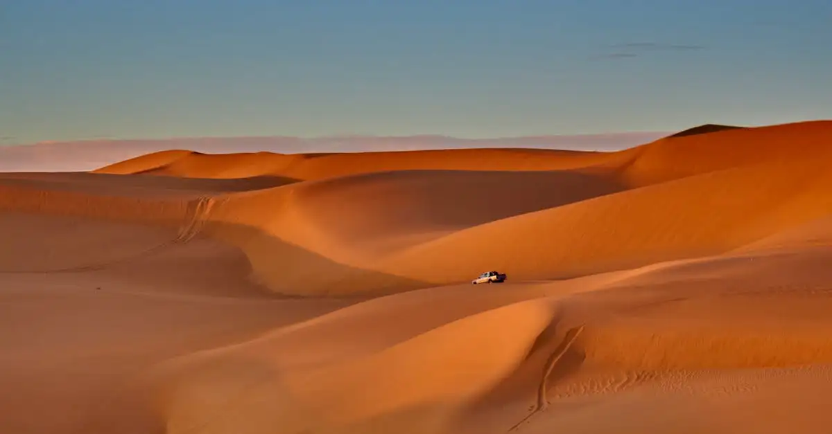 Wat is de grootste woestijn ter wereld: de Sahara? - Wat Is De Grootste Woestijn