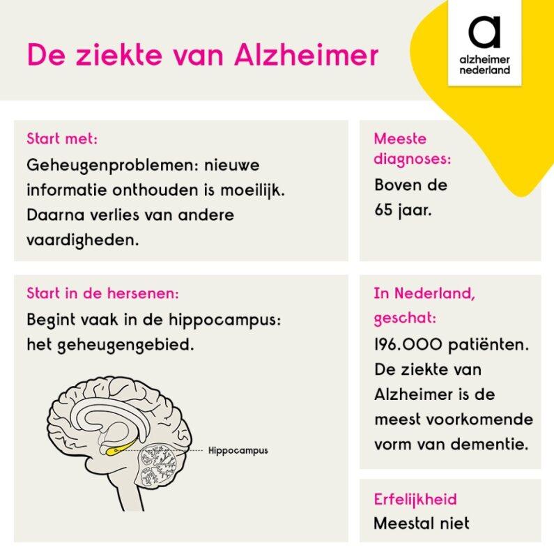 Wat is de ziekte van Alzheimer? | Dementie - Wat Is De Ziekte Van Alzheimer