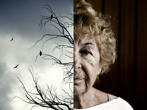 Wat Is De Ziekte Van Alzheimer