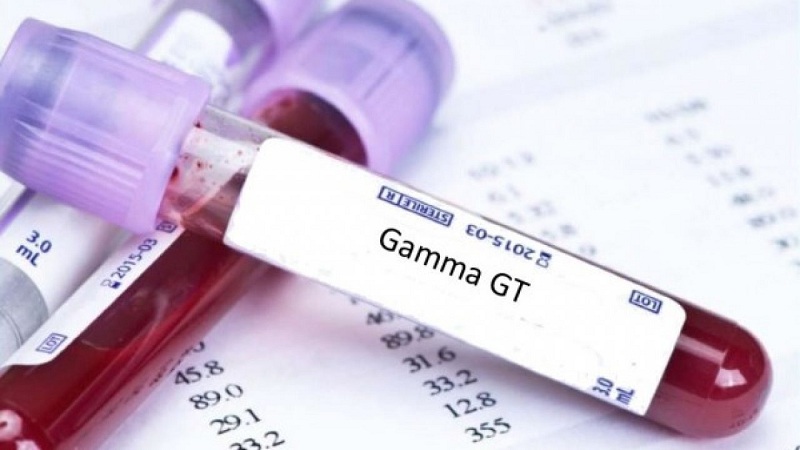 Wat is dik bloed? - Med NL - Wat Is Ggt In Het Bloed