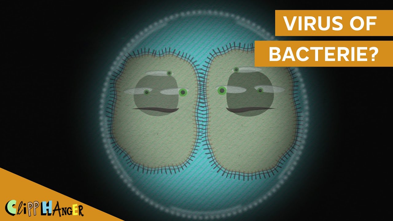 Wat is het verschil tussen een bacterie en virus? - YouTube - Verschil Tussen Bacterie En Virus