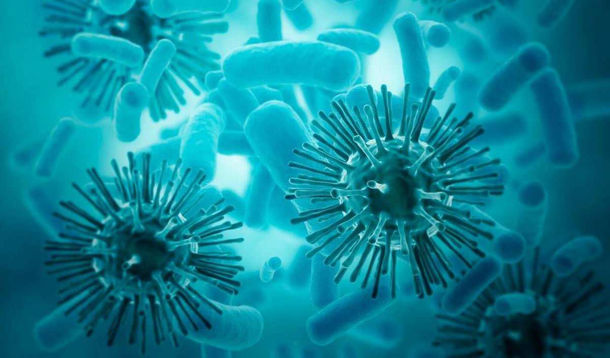 Wat Is Het Verschil Tussen Een Bacterie En Een Virus