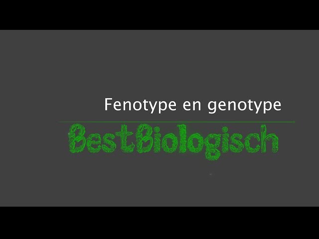 Wat Is Het Verschil Tussen Genotype En Fenotype: Een Duidelijke Uitleg. - Wat Is Het Verschil Tussen Genotype En Fenotype