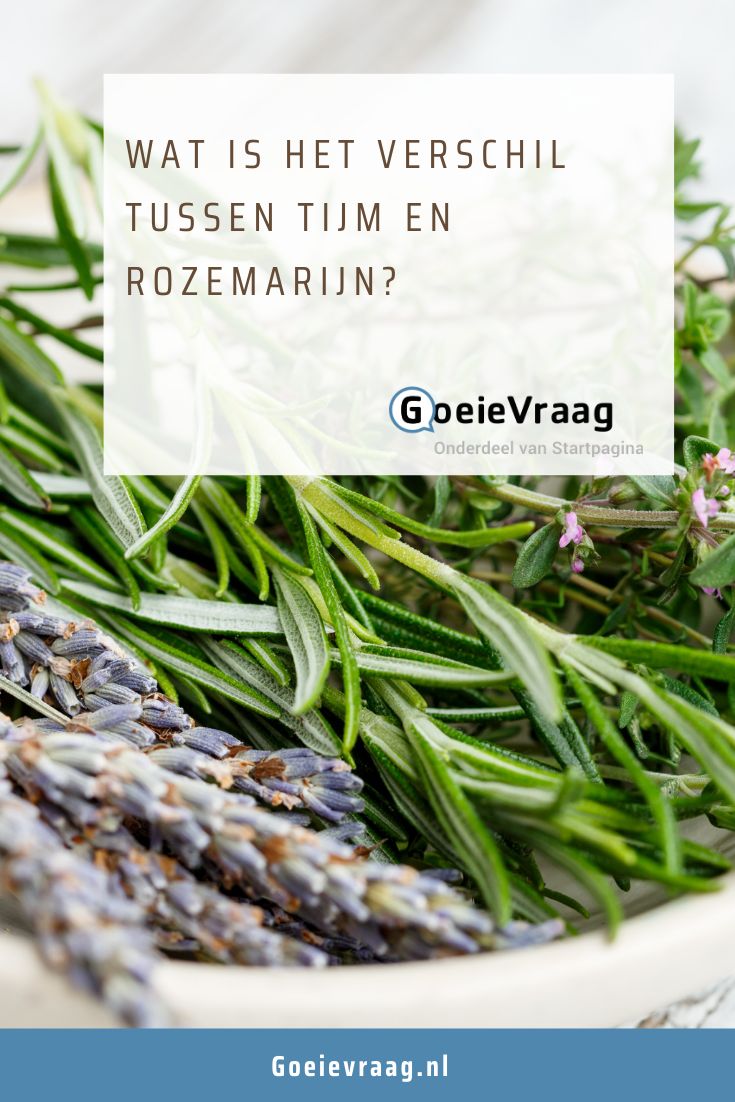 Wat is het verschil tussen tijm en rozemarijn? | Tijm, Rozemarijn, Eten - Verschil Tussen Kruid En Specerij