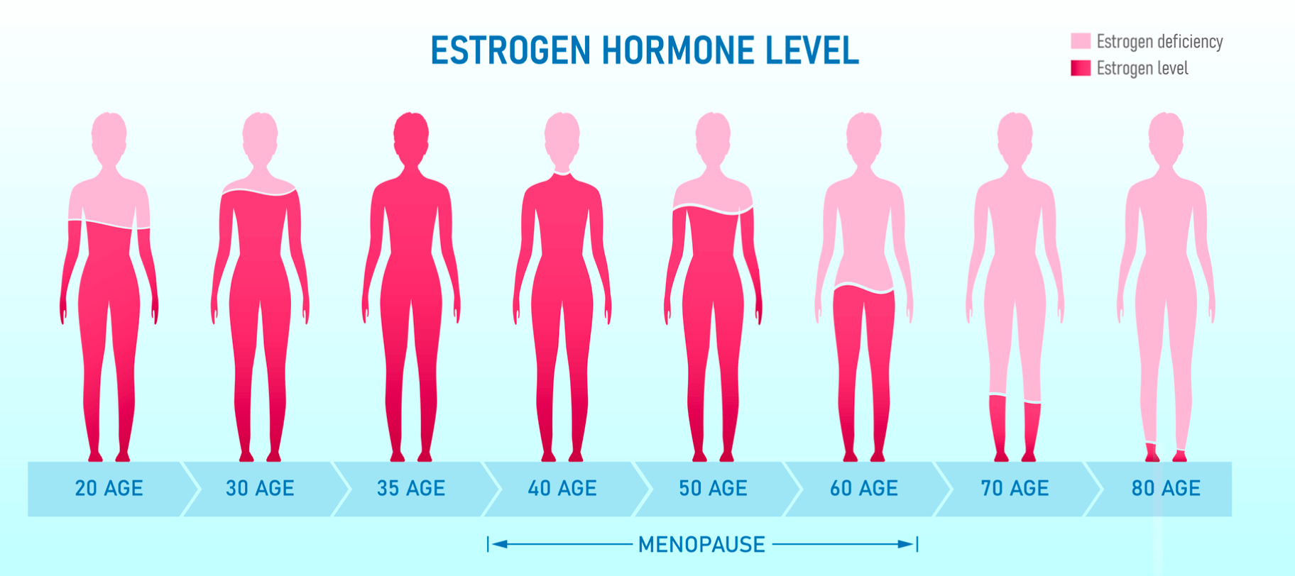 Wat is oestrogeendominantie (bij vrouwen)? | Hormoonfactor - Wat Doet Oestrogeen Met Je Lichaam