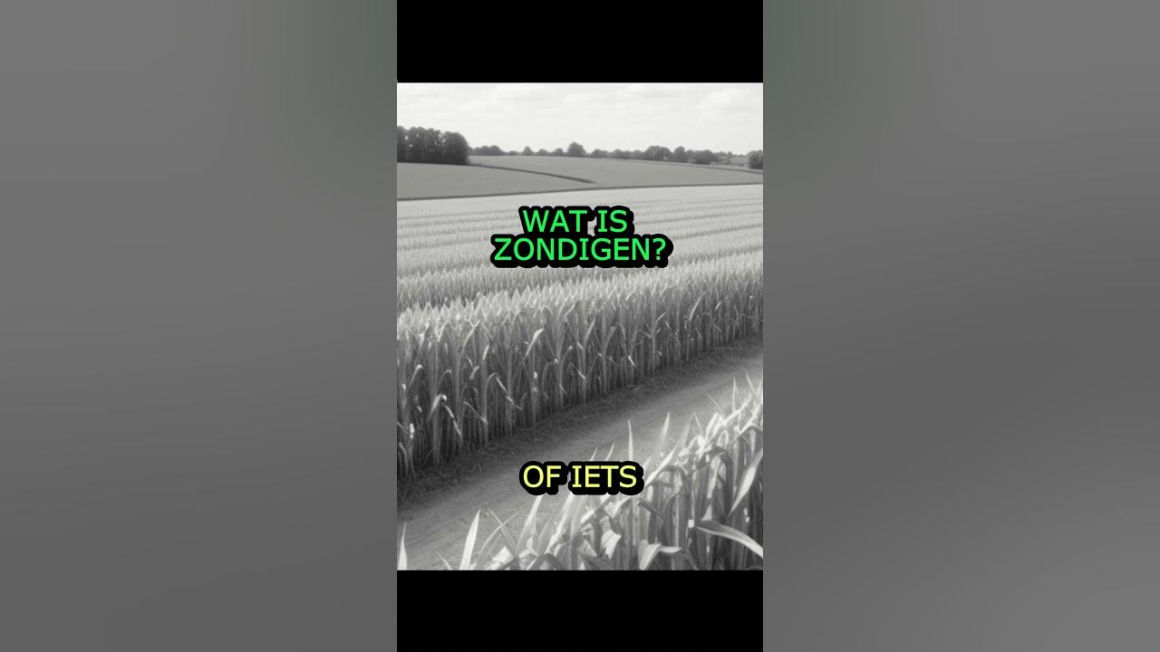 Wat is zondigen? - YouTube - Wat Is Zondigen Tegen De Heilige Geest