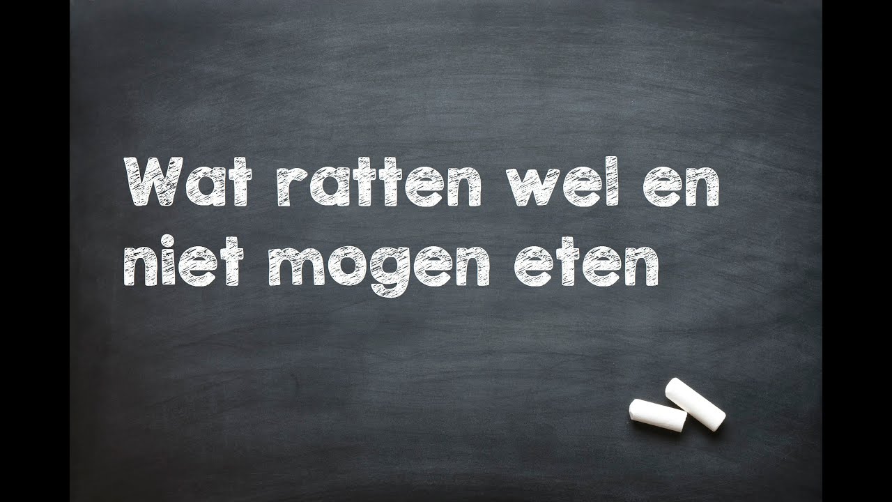 Wat ratten wel en niet mogen eten - YouTube - Wat Mogen Protestanten Niet Eten