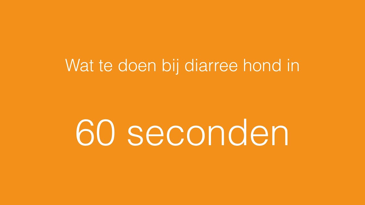 Wat Te Doen Bij Diarree Volwassene