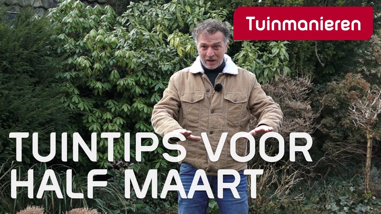 Wat Doen In Een Tussenjaar