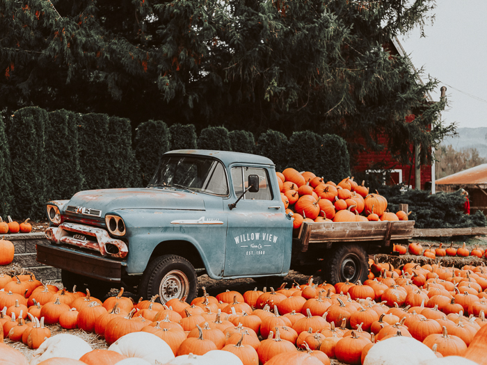 Wat vieren we eigenlijk met Halloween? // Your Little Black Book - Halloween Wat Vieren We