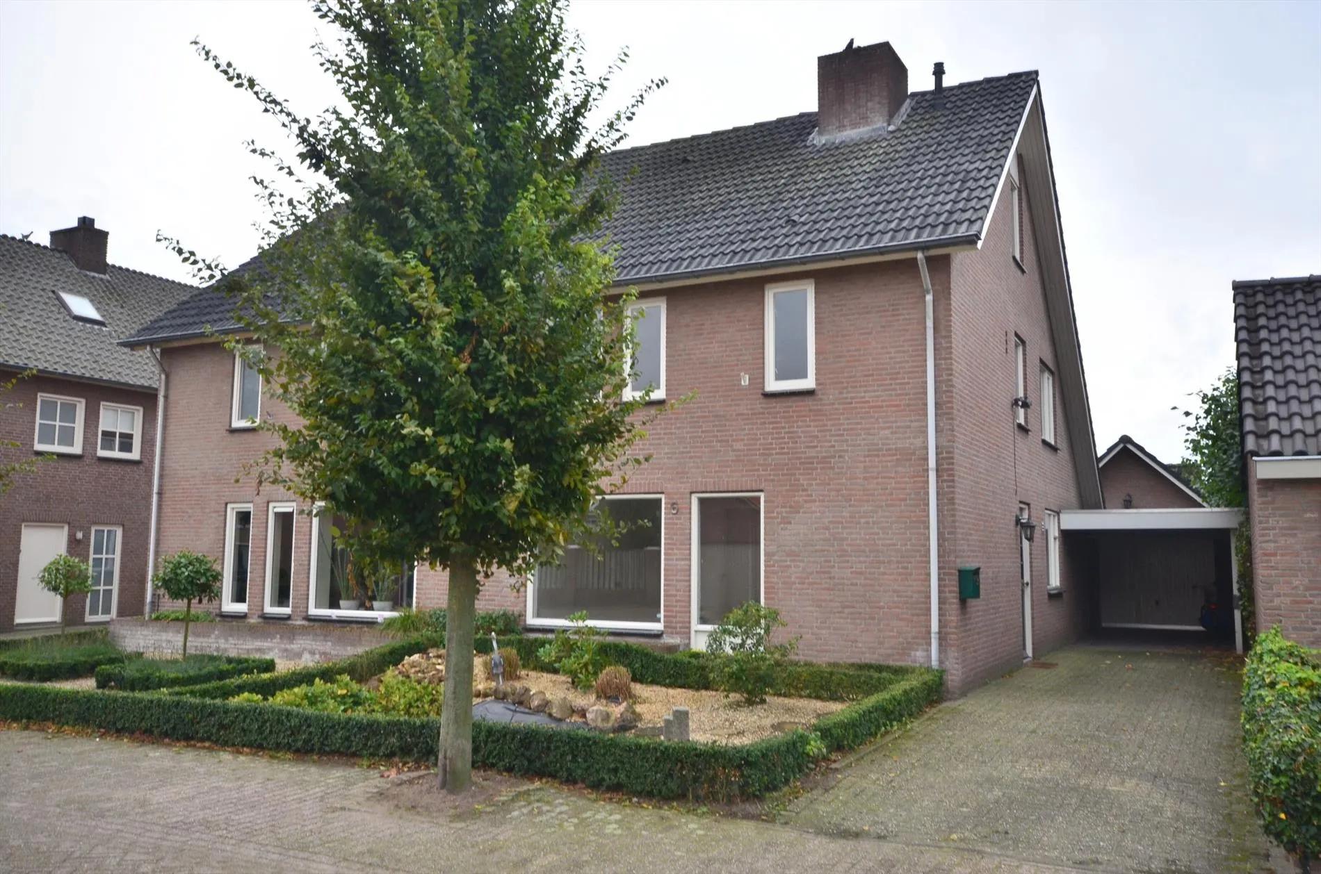 Wat voor boom is dit? : r/groenevingers - Wat Voor Boom Is Dit