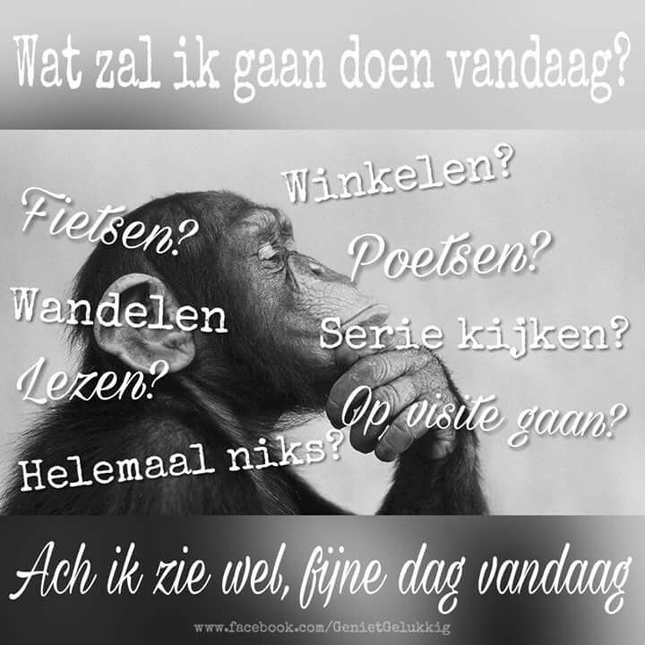 Wat zal ik gaan doen vandaag | Kijken - Wat Ga Ik Doen Vandaag