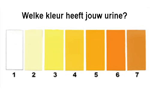 Wat zegt je urine over je gezondheid? | Pijnbestrijding, Gezond - Welke Kleur Urine Bij Nierfalen