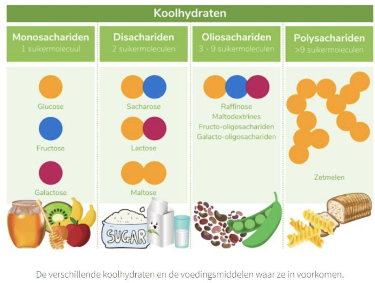 Wat zijn voedingsstoffen en welke heb je nodig? - Welke Voedingsstoffen Heb Je Nodig