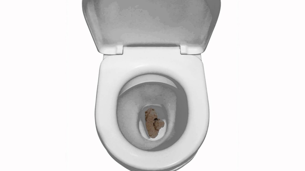 Wat zit er in poep - YouTube - Zit Er Dna In Urine
