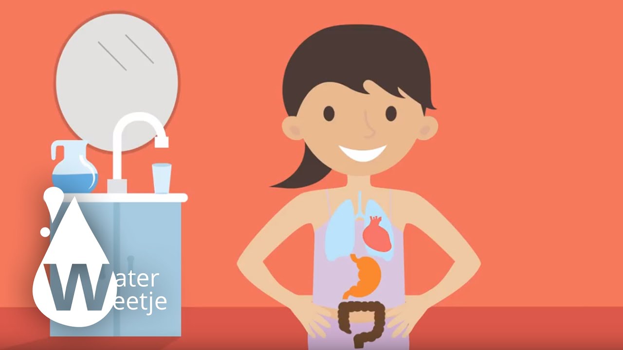 Water drinken is gezond - YouTube - Veel Plassen En Veel Dorst