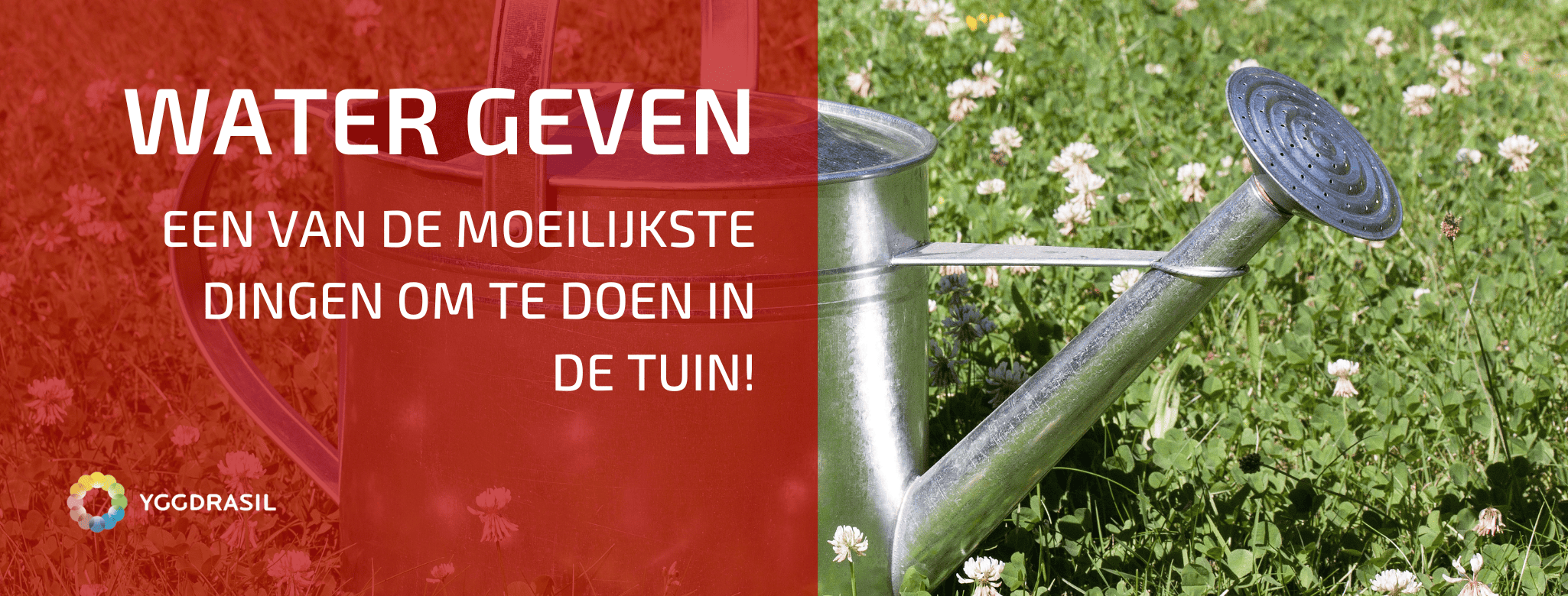 Hoeveel Water Bij Fond Voor Bouillon