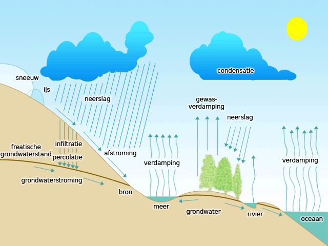 Kringloop Van Het Water Werkblad