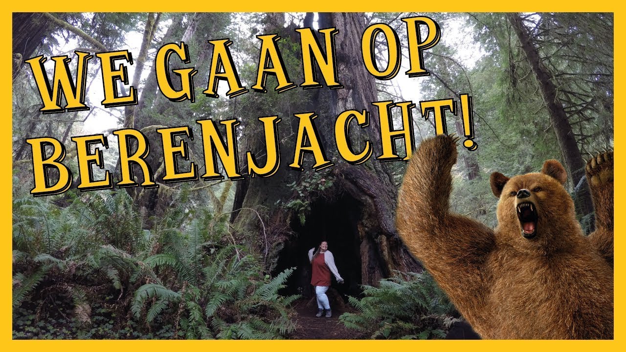 We gaan op BERENJACHT! | Storytime - YouTube - Wij Gaan Op Berenjacht Verhaal