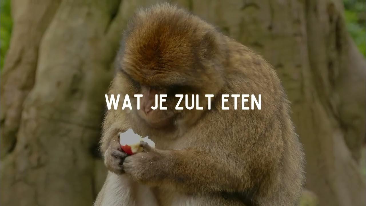 Wees niet bezorgd - Solid Worship - YouTube - Wees In Geen Ding Bezorgd
