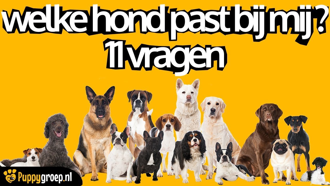 WELKE HOND PAST BIJ MIJ? #11 - YouTube - Welke Pil Past Bij Mij Test