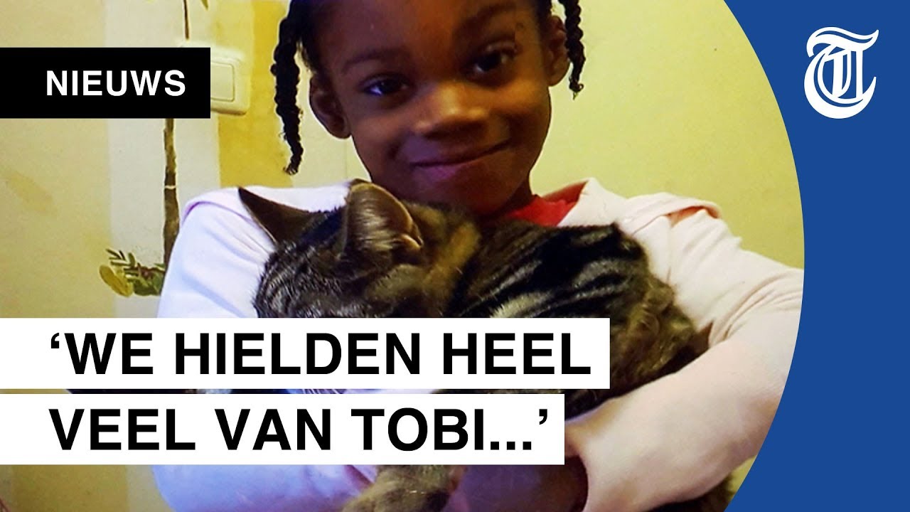 Welke straf voor kattenmoordenaar? - YouTube - Welke Straf Voor Welk Misdrijf