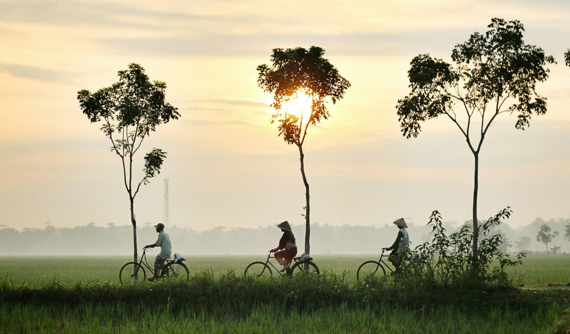 Welke taal spreken ze in Indonesië? - Goeiweer - Welke Taal Spreken Ze In Indonesie